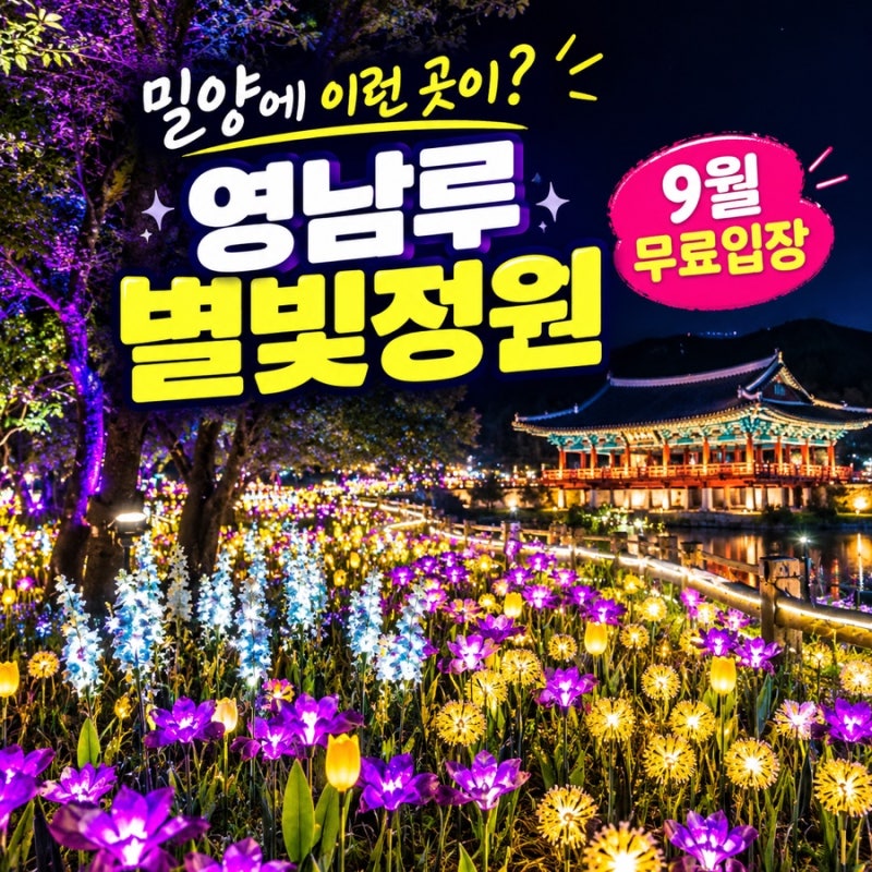 “밀양 영남루가 밤에 이렇게 변한다고?” 9월에만 무료라는 별빛정원