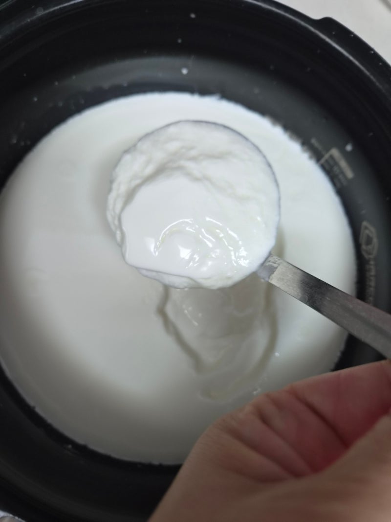 집에서 간단하게 만드는 그릭요거트만들기 간단 레시피