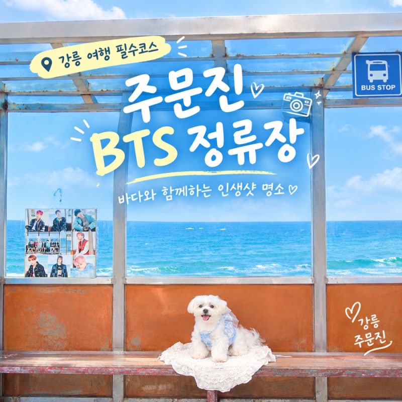 주문진 BTS 정류장 강릉 여행 필수 코스 바다 뷰 포토존