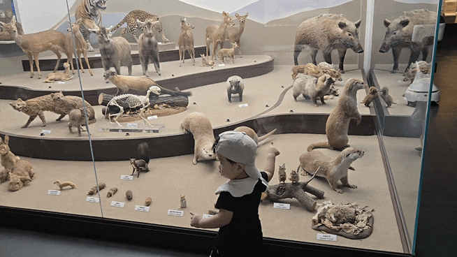 National Institute of Biological Resources in Incheon: Free Indoor Experience with 14-Month-Old Twins