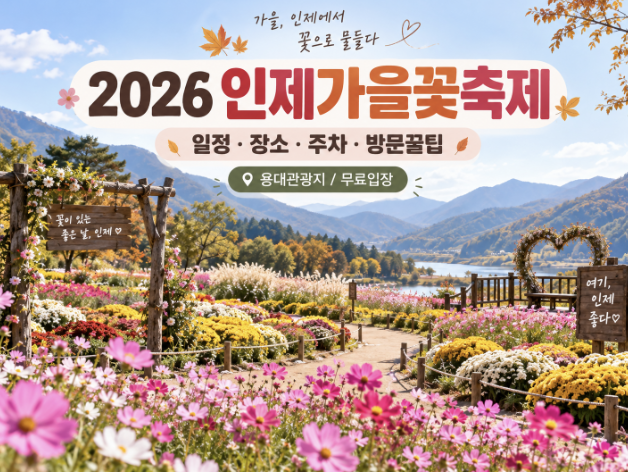 국내가을여행 인제가을꽃축제 일정 주차 입장료 방문팁 정리