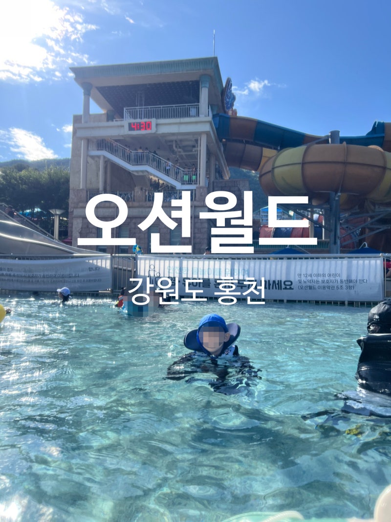 [내돈내산]홍천 오션월드 아이들과 다녀온 후기|워터파크 준비물 이용팁
