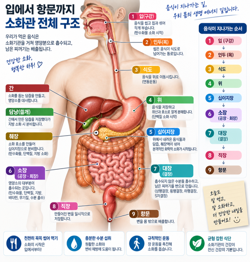 크론병, 여름철 장염인 줄 알았는데 6개월 넘게 간다면....