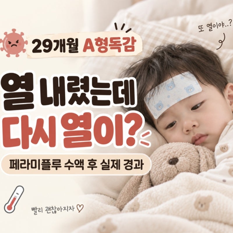 29개월 아기 A형독감 초기증상 페라미플루 수액 후 다시 난 열 실제 경과
