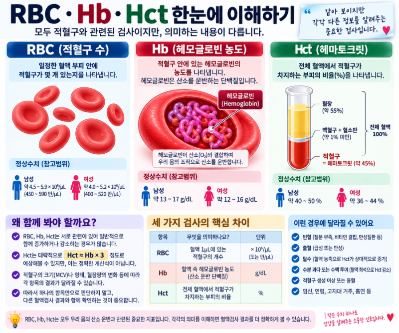 Hct(헤마토크릿) 낮으면? 정상수치와 Hb·RBC 차이까지 정리