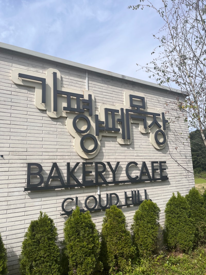 가을에 나들이 가기 좋은 가평 양떼목장 총정리｜오픈시간·입장료·주차·카페·유모차·썰....