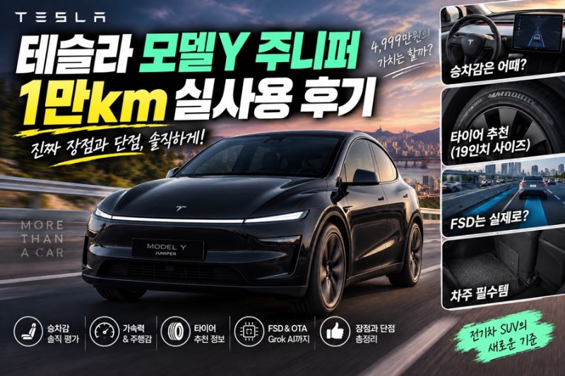 테슬라 모델Y RWD 1만km 실사용자가 느낀 솔직 후기 ❤️승차감부터 FSD, 타이어추천까지!
