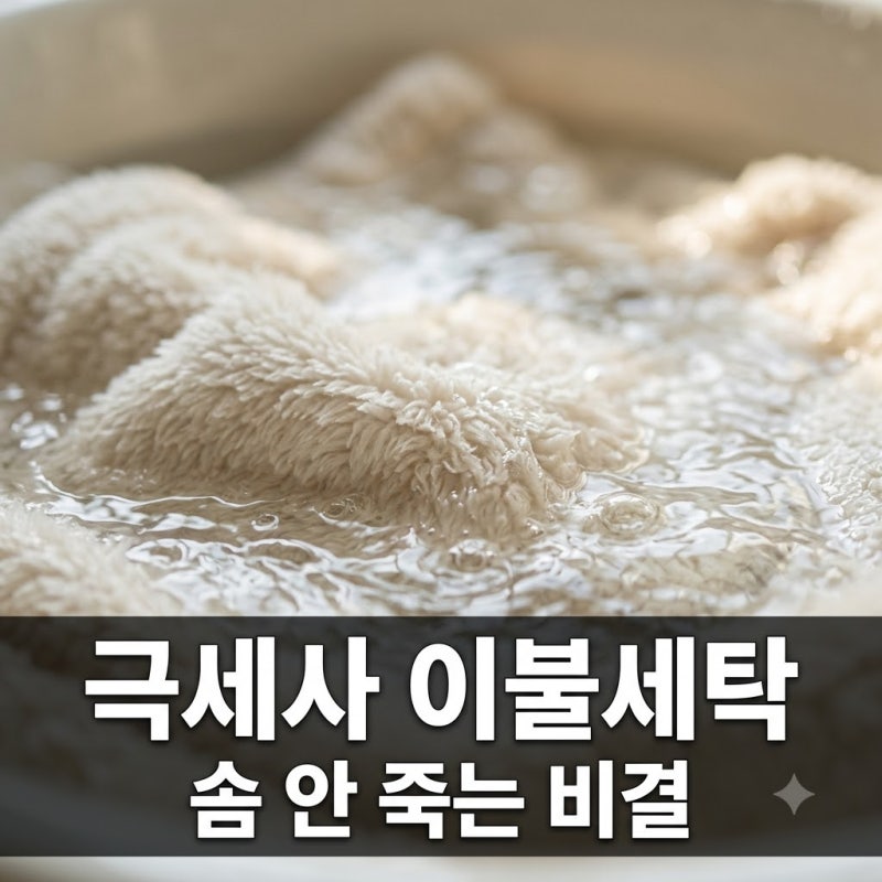 "섬유유연제 넣었다가 망했어요".. 극세사 이불 빨래 솜 안 죽는 30도 세탁법
