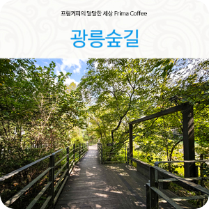 포천가볼만한곳 경기도 광릉숲길
