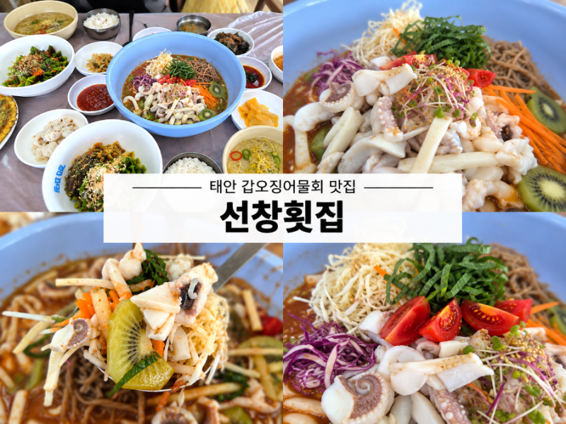 [태안청포대맛집] 마검포 선창횟집 13년 연속 블루리본 갑오징어물회