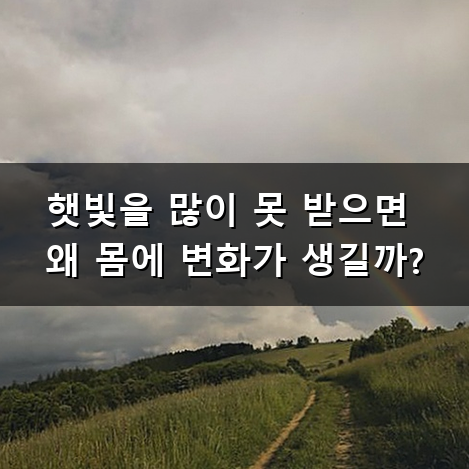 비타민D 5000 왜 다들 챙겨 먹는 걸까? 고함량 영양제 고르는 법