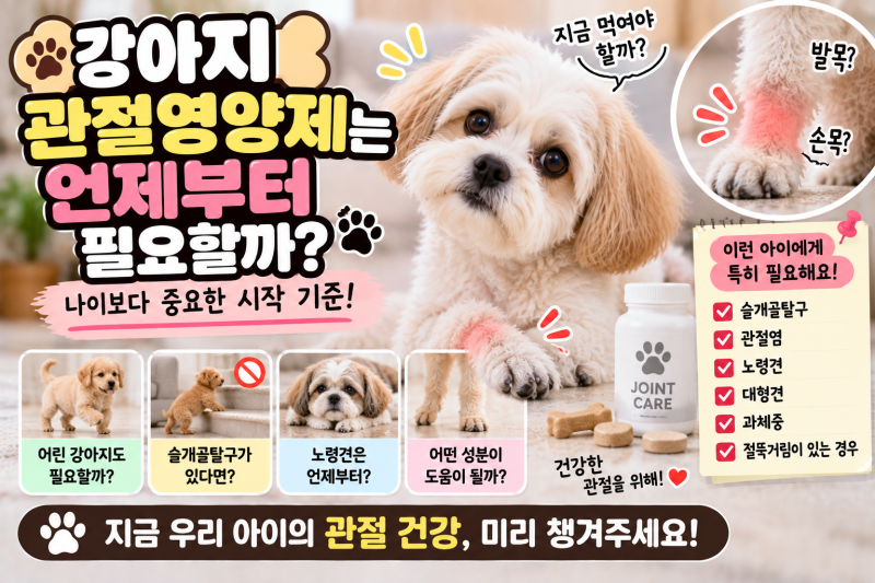 강아지 관절영양제는 언제부터 고려하면 좋은지, 어떤 강아지에게 특히 관절 관리가 중요
