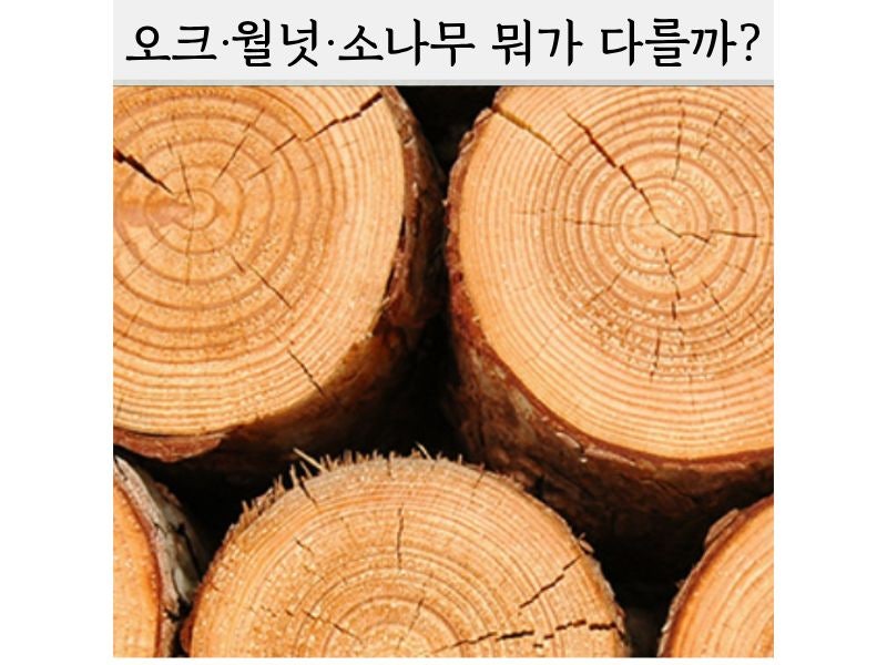 원목가구 종류 정리｜오크·월넛·소나무 뭐가 다를까?