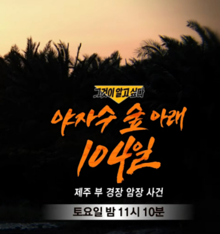 "연락이 됐다고 했다" 그런데 통화기록은 없었다… 장미란 실종 사건 부경장은 도대체 왜그....