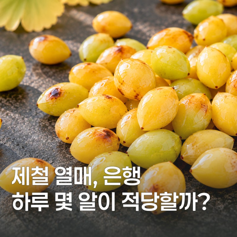 노랗게 물든 가을, 은행 효능부터 보관방법까지