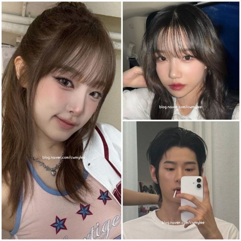 전참시 416회 최예나 인스타 전지적 참견시점 아이즈원 김민주 인스타 배우 조유리 프로필 래....