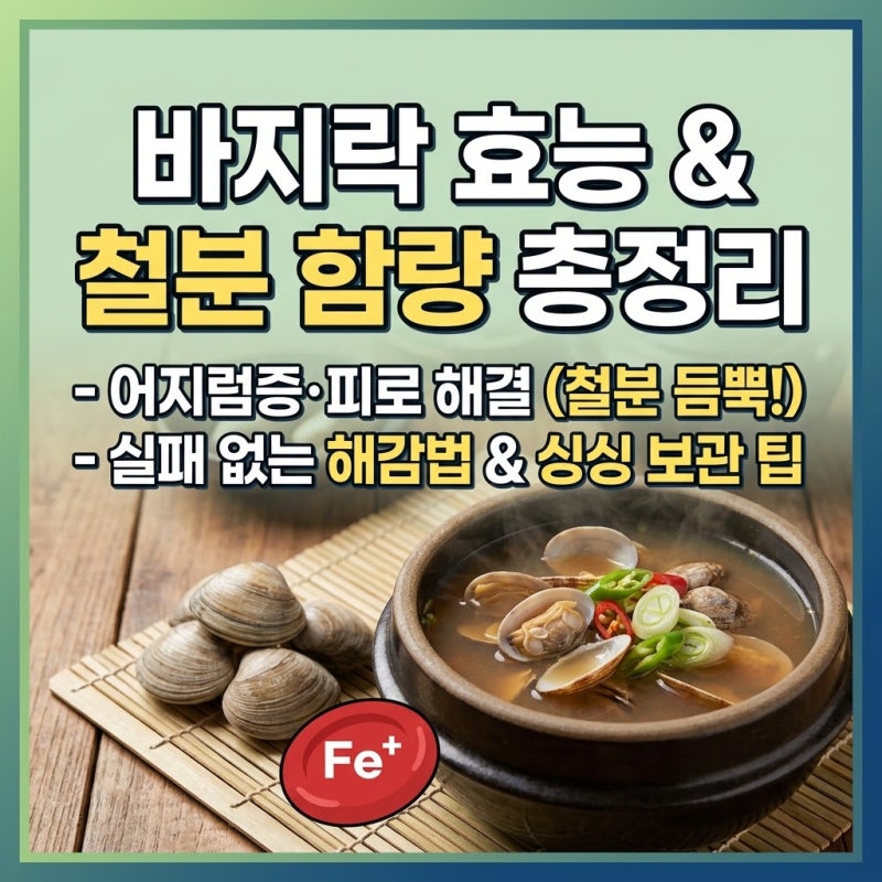 바지락 효능과 철분 함량 총정리 실패 없는 해감법 및 보관 팁