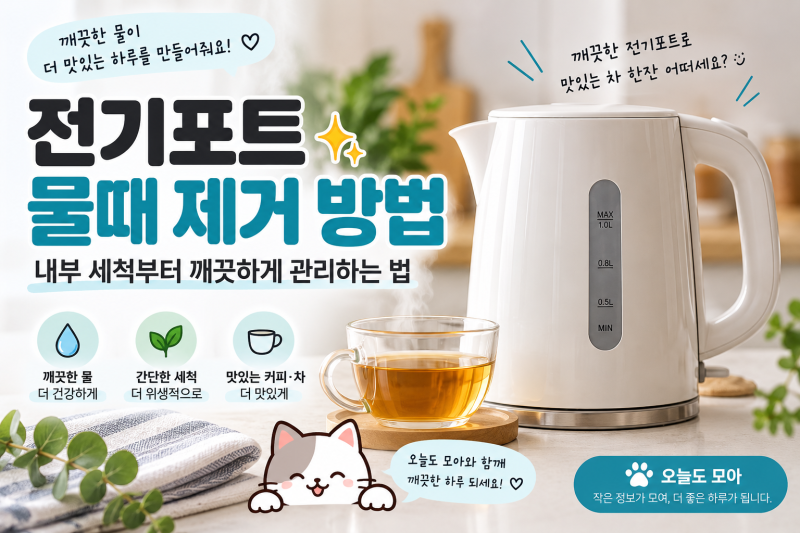 전기포트 물때 제거 방법, 내부 세척부터 깨끗하게 관리하는 법!!