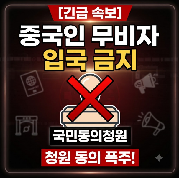 중국인 무비자 입국 금지 청원 이슈와 쟁점