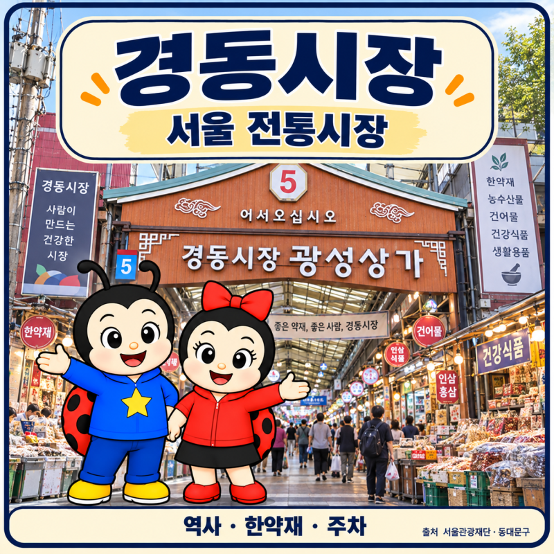서울 경동시장 주차장 가는법｜영업시간·한약재·서울약령시 총정리