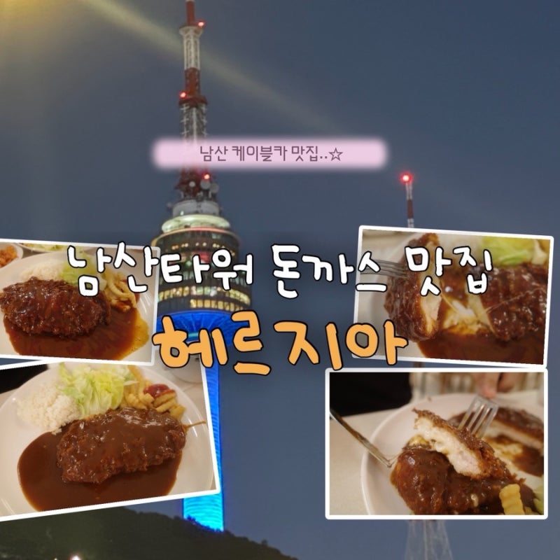 남산 돈까스 맛집 헤르지아 명동 데이트 코스로 딱인 남산타워 양식 맛집