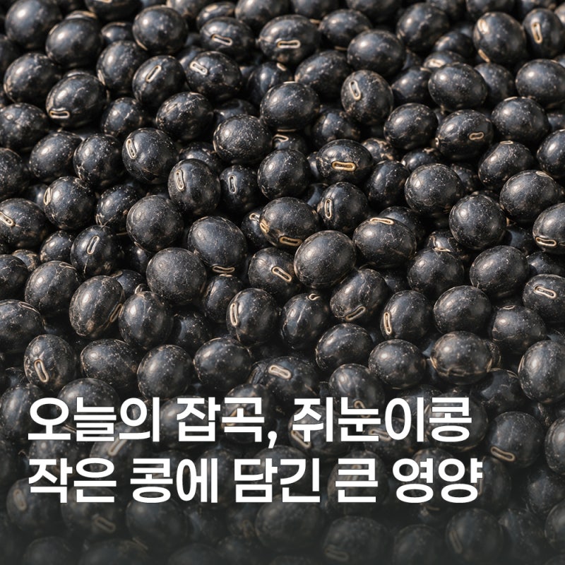 쥐눈이콩 효능과 칼로리, 먹는 법과 보관방법