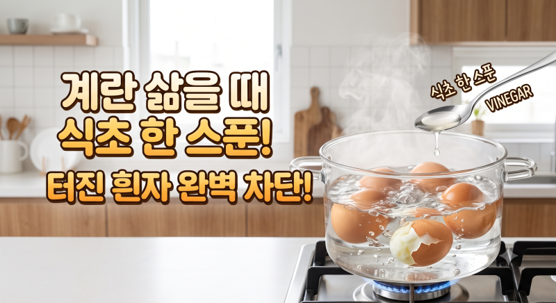계란 삶을 때 식초 한 스푼 넣었더니 생긴 일! 터진 흰자 완벽 차단하는 특급 비법