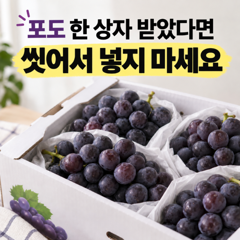 포도 보관법｜실온에 둘까 냉장고에 넣을까?