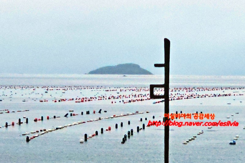 여수 여행 코스 추천 여수 장도 놀거리 웅천캠핑장