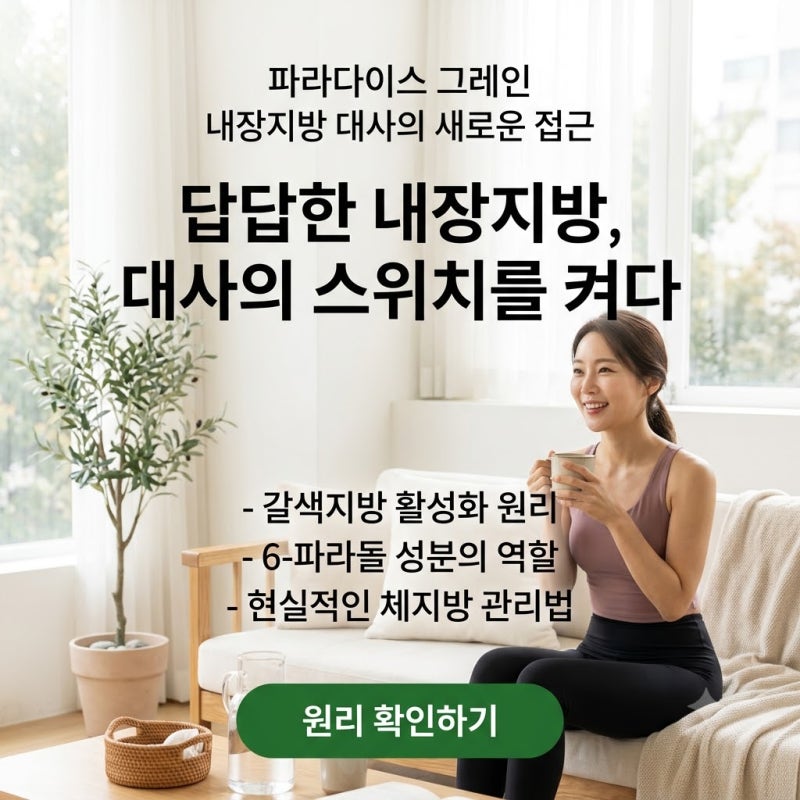파라다이스 그레인 효능 진짜일까? 40대 뱃살 고민 해결기