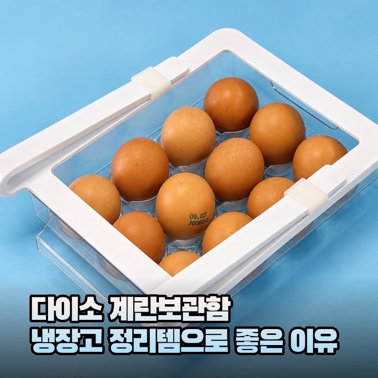 다이소 계란보관함 활용법 계란트레이로 냉장고 정리하기
