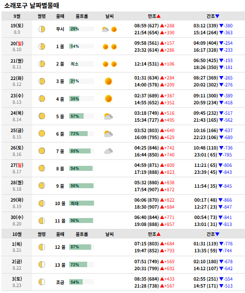 9월 추석 소래포구 난전 어시장 후기 꽃게 새우 대하 시세 가격 물때 정보