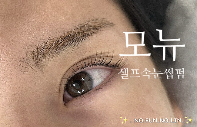 올리브영추천 셀프속눈썹펌 주기 / 망하지않는 속눈썹펌