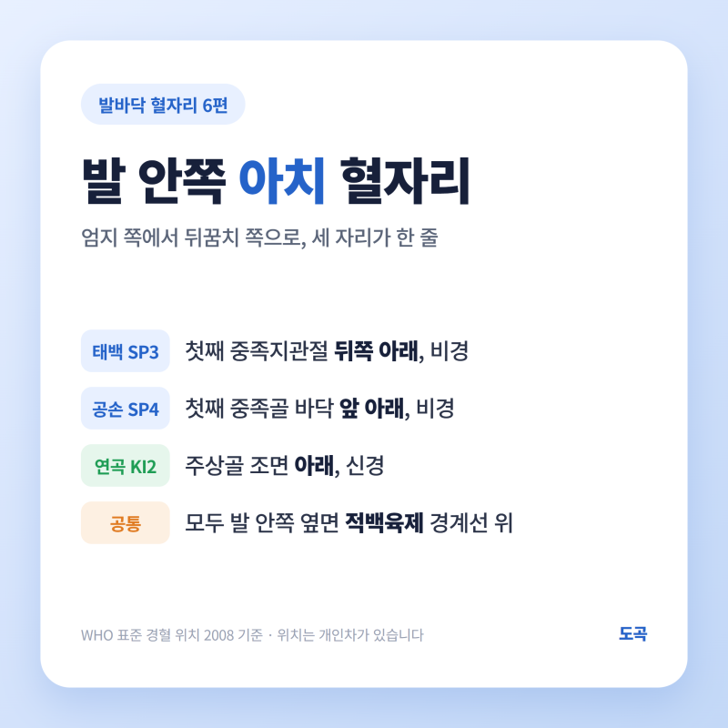 발 안쪽 아치 혈자리 연곡혈 공손혈 태백혈 위치