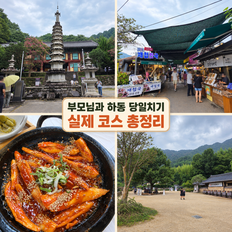 부모님 모시고 하동 당일치기 여행 코스｜쌍계사·화개장터·최참판댁
