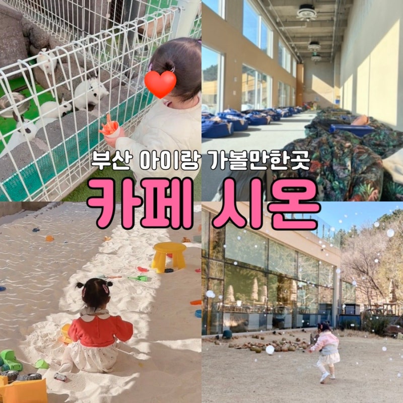 부산 아이랑 가볼만한 곳 ㅣ 야외 모래놀이와 토끼 먹이주기 체험 하는 대형 베이커리 카페 ....