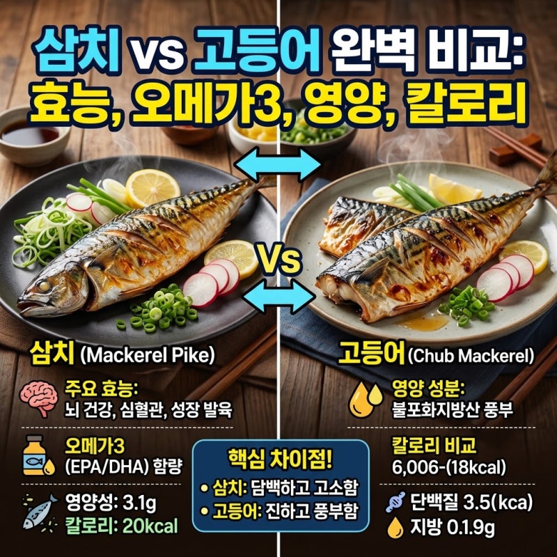 삼치 효능과 오메가3 함량, 고등어 영양 칼로리 차이 비교 정리