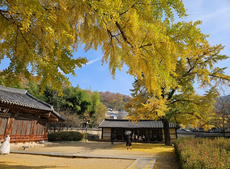 현지인의 전주 한옥마을 나들이 코스 완벽 정리