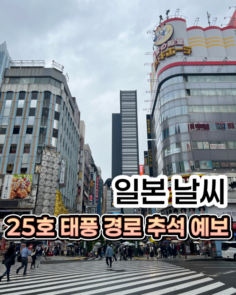 일본 25호 태풍 경로 추석 연휴 날씨 총정리, 이번엔 후쿠오카 아닌 도쿄가 직격?