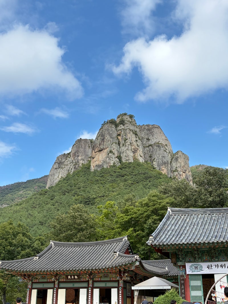 주왕산 상의 주차장-대전사-용추폭포-용연폭포