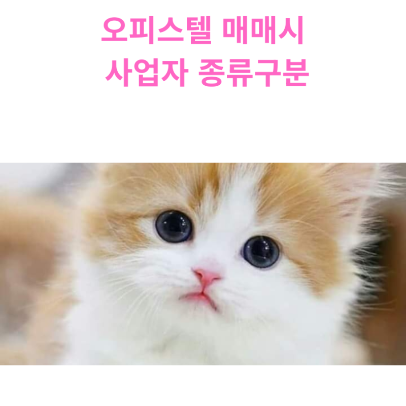 오피스텔 일반임대사업자와 주택임대사업자, 뭐가 다를까?