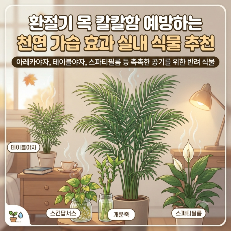 환절기 목 칼칼함 예방하는 천연 가습 효과 실내 식물 추천