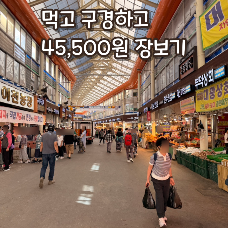 경동시장 첫 방문 2시간 동안 구경하고 45,500원 장보기