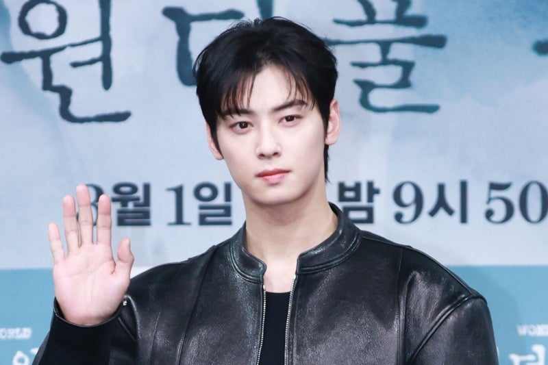 "차은우 도청 사건·변우석 매니저 잠복" 실태와 경찰 대응