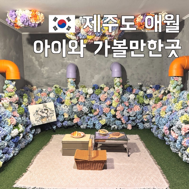제주도 애월 아이와 가볼만한곳 제주 놀거리 제주홀릭뮤지엄