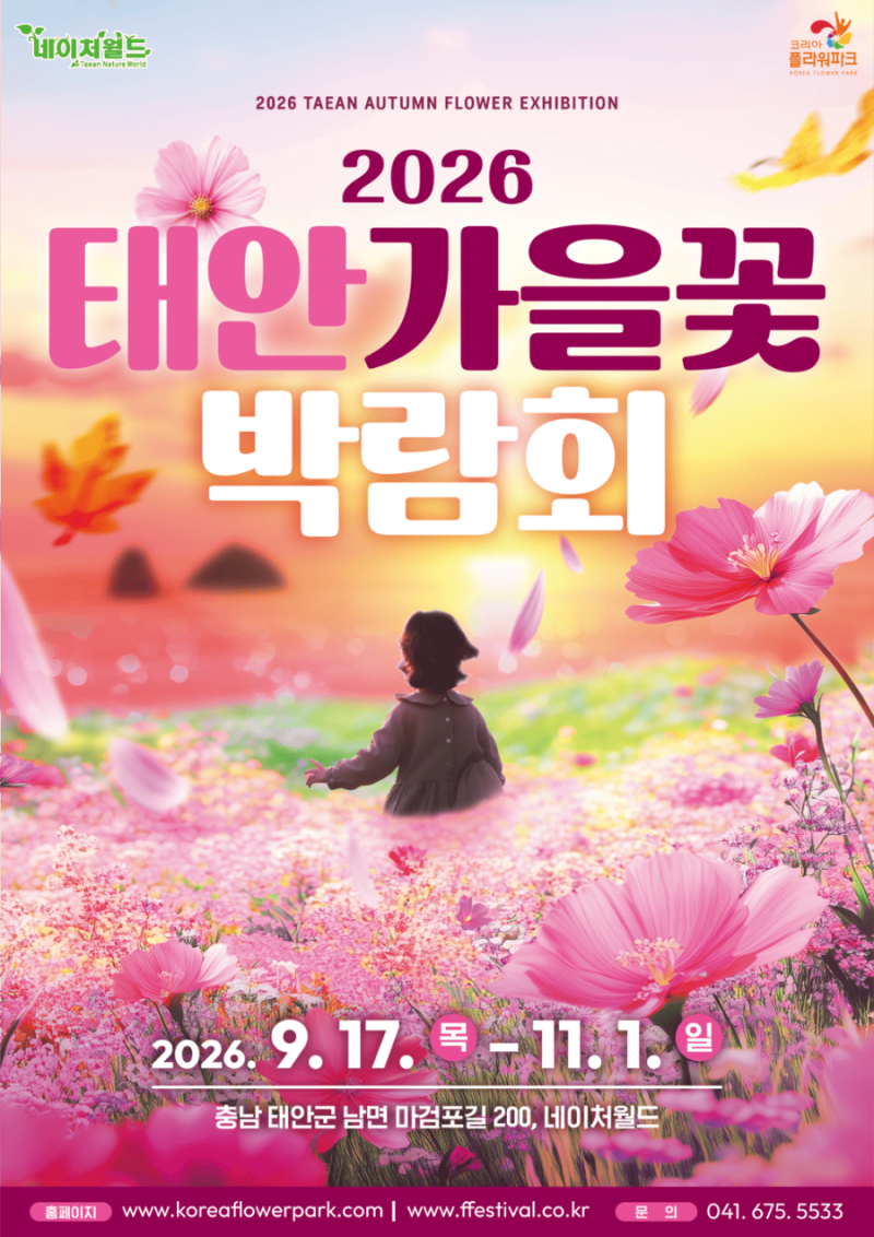 [서해안 가을 여행] 2026 태안 가을꽃박람회! 일정·입장료·무료주차·아이랑 인생샷 스팟 총....