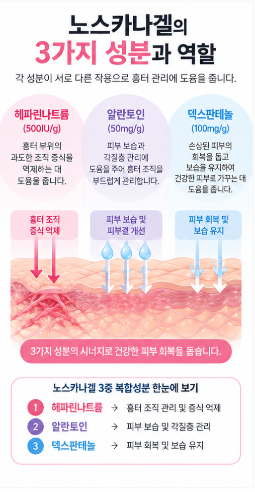 노스카나겔, 여드름 흉터에는 언제부터 발라야 할까? 효과와 사용법