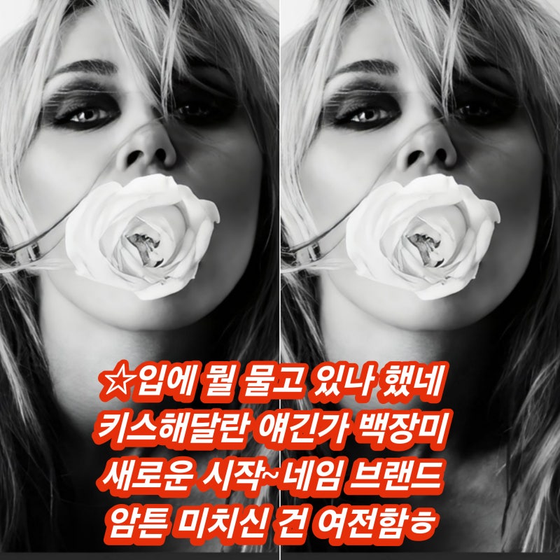 2026년 35살 벌써 10집 와우 인생 헛살았네~미국 가수 레전드 마일리 사이러스 정규 앨범 자켓 ....