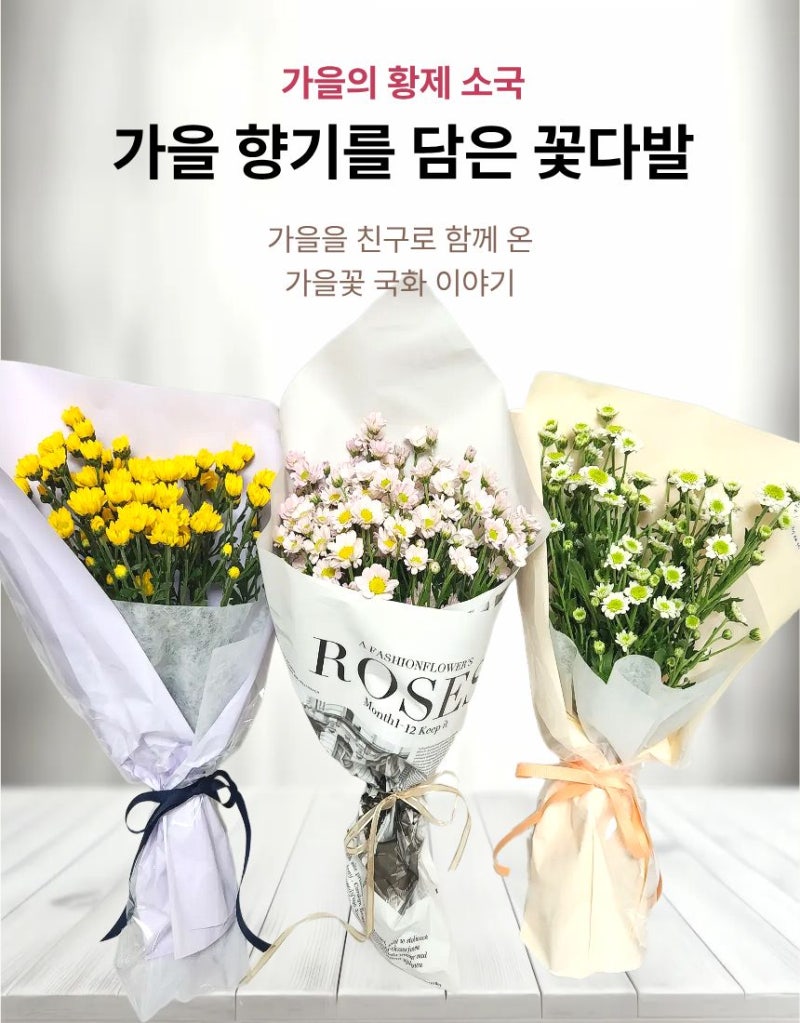 [라스완] 9월의 꽃다발 가을의 들판을 내 집안으로 소국화 대국 생화 꽃다발 추석 성묘 꽃다....