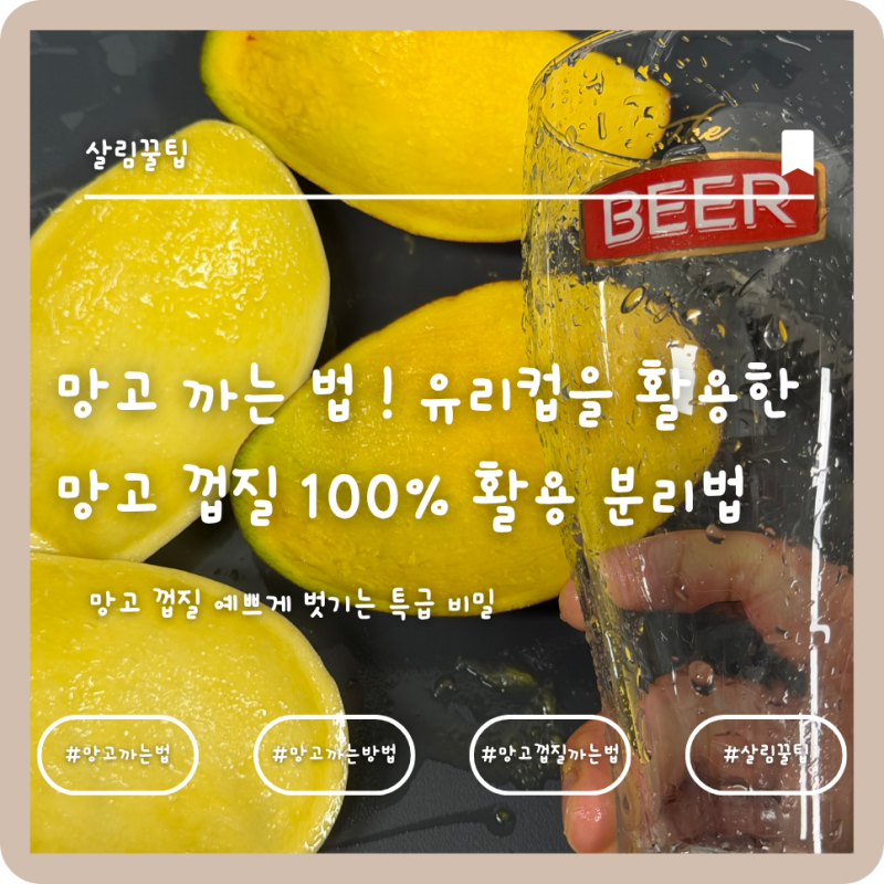 망고 까는 법 ! 유리컵을 활용한 망고 껍질 100% 활용 분리법